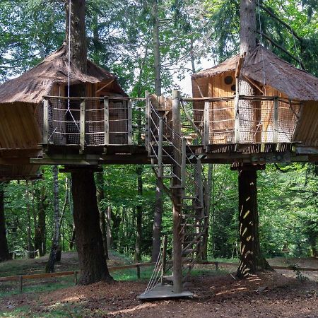 Les Cabanes De Labrousse Saint-Julien-Labrousse Ngoại thất bức ảnh